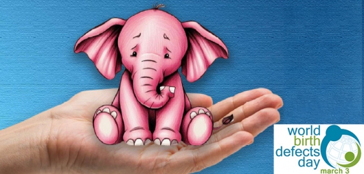 WBDD2026_Symposium_MZB WBDD2026_Symposium_MZB